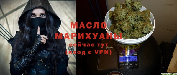 молекула духа Богданович
