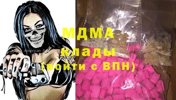 молекула духа Богданович