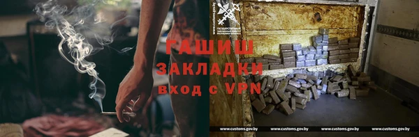 молекула духа Богданович