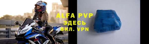 молекула духа Богданович