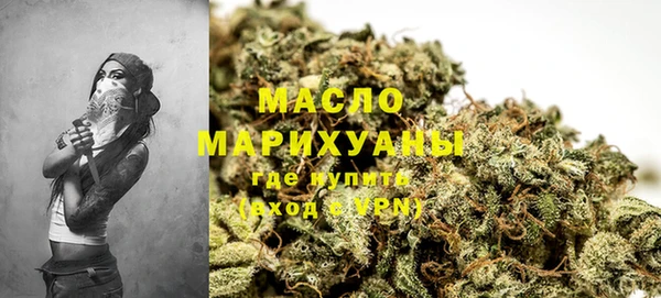 молекула духа Богданович