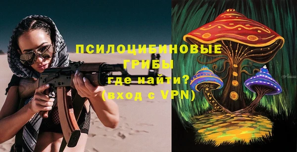 гидропоника Богородицк