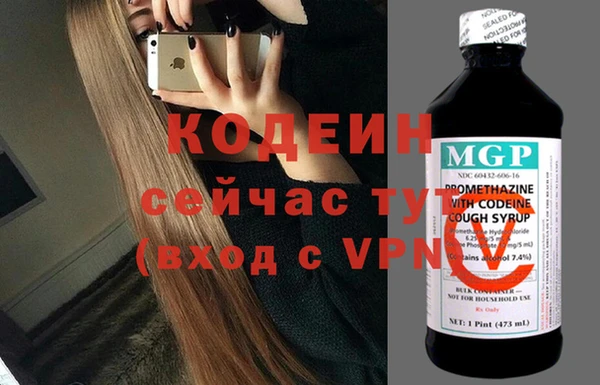 молекула духа Богданович