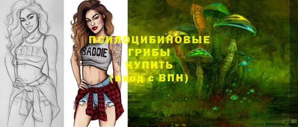 молекула духа Богданович