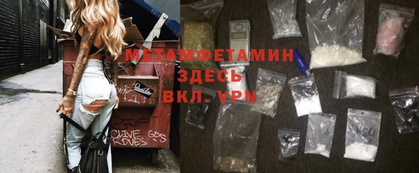 молекула духа Богданович