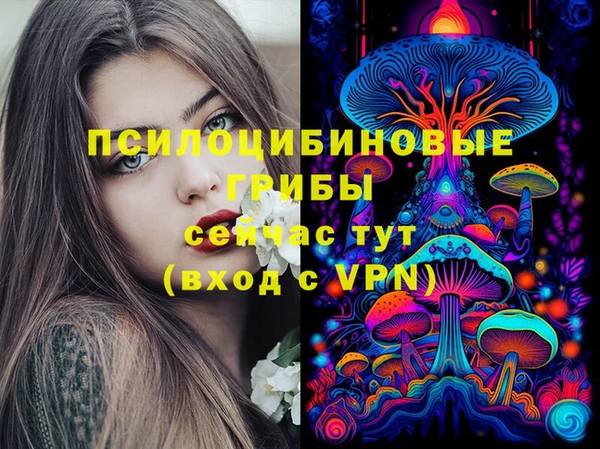 гидропоника Богородицк