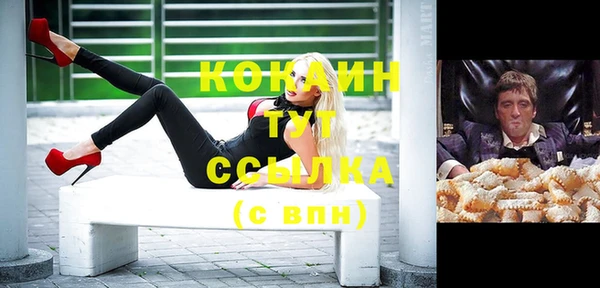 молекула духа Богданович