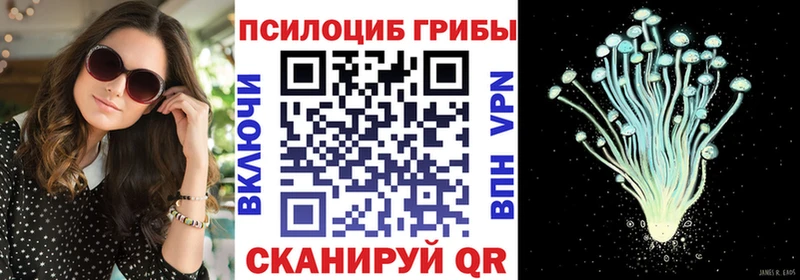 Псилоцибиновые грибы прущие грибы  где купить   Пермь 
